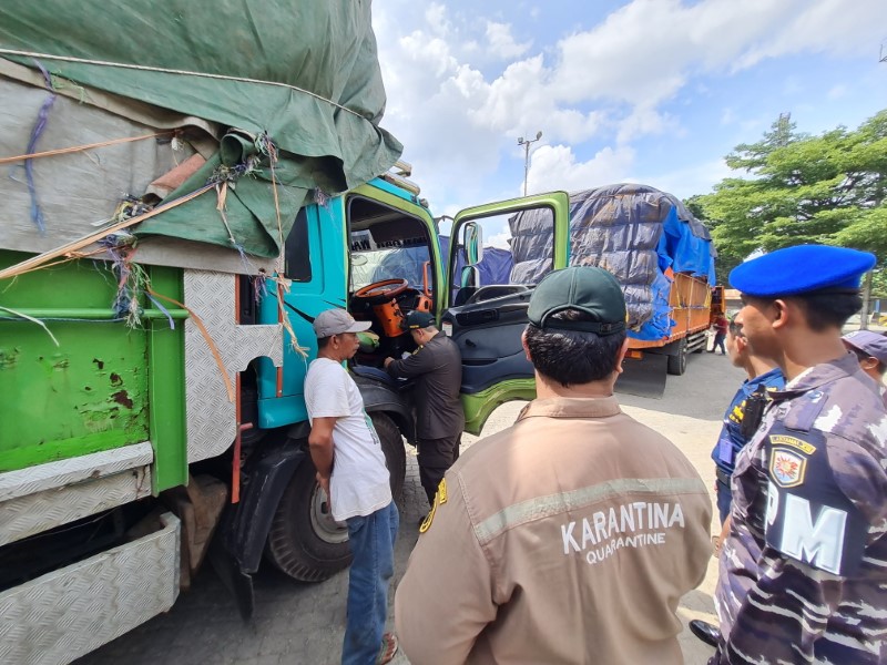 PEMERIKSAAN: BKHIT Kalsel menggelar Operasi Patuh Terpadu dan Pengawasan Karantina 2025 di Pelabuhan Trisakti Banjarmasin, Rabu (26/03).