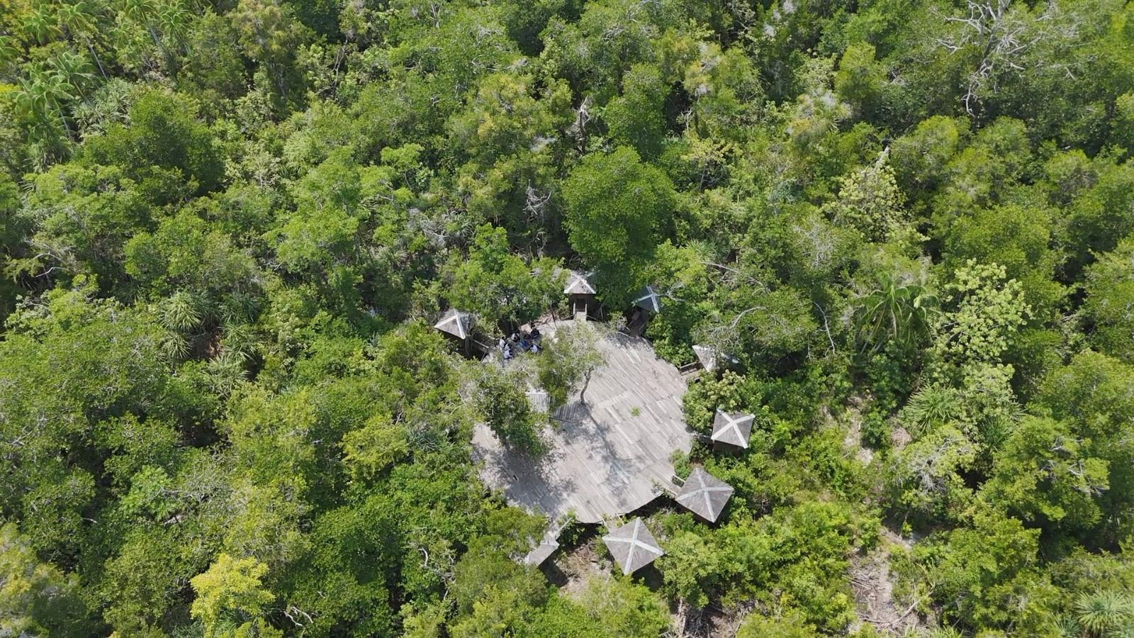HIJAU: Kawasan wisata mangrove di Desa Angsana, Tanah Bumbu, yang ingin dikembangkan sebagai destinasi ekowisata berbasis desa mandiri. (Foto: DPMD Tanah Bumbu untuk Radar)