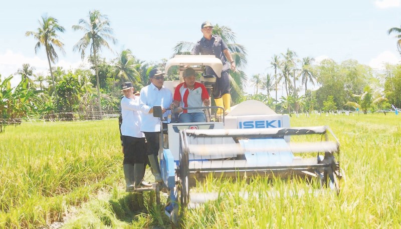 OPTIMIS: Bupati Kabupaten HSU H Sahrujani dan Wabup bersama menjajal traktor Combine Harvester saat panen raya di Desa Hambuku, Senin (7/4/2025). (Foto: M. Akbar/Radar Banjarmasin)