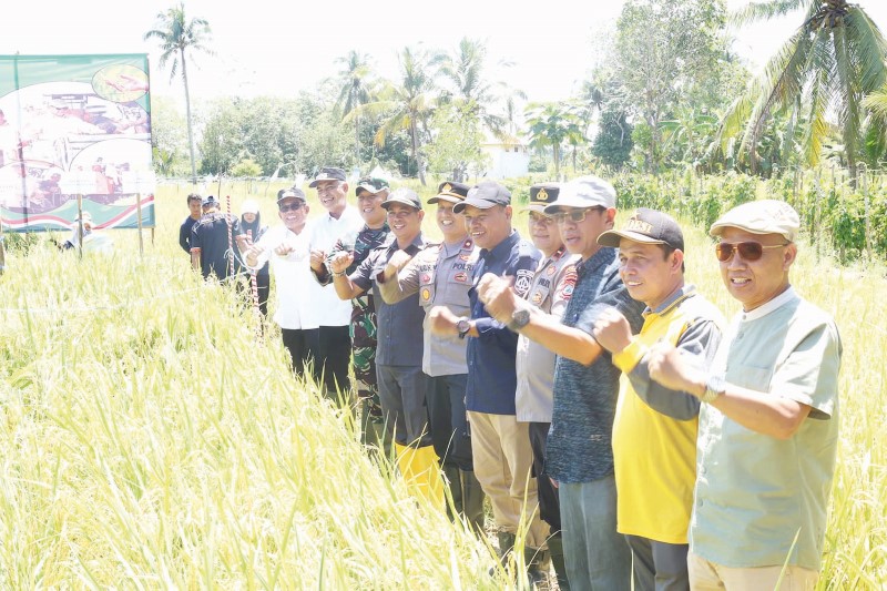 HADIR: Ketua DPRD HSU H Fadilah menghadiri pesta panen serentak di Desa Hambuku Hulu, Kecamatan Sungai Pandan, Senin (7/4).