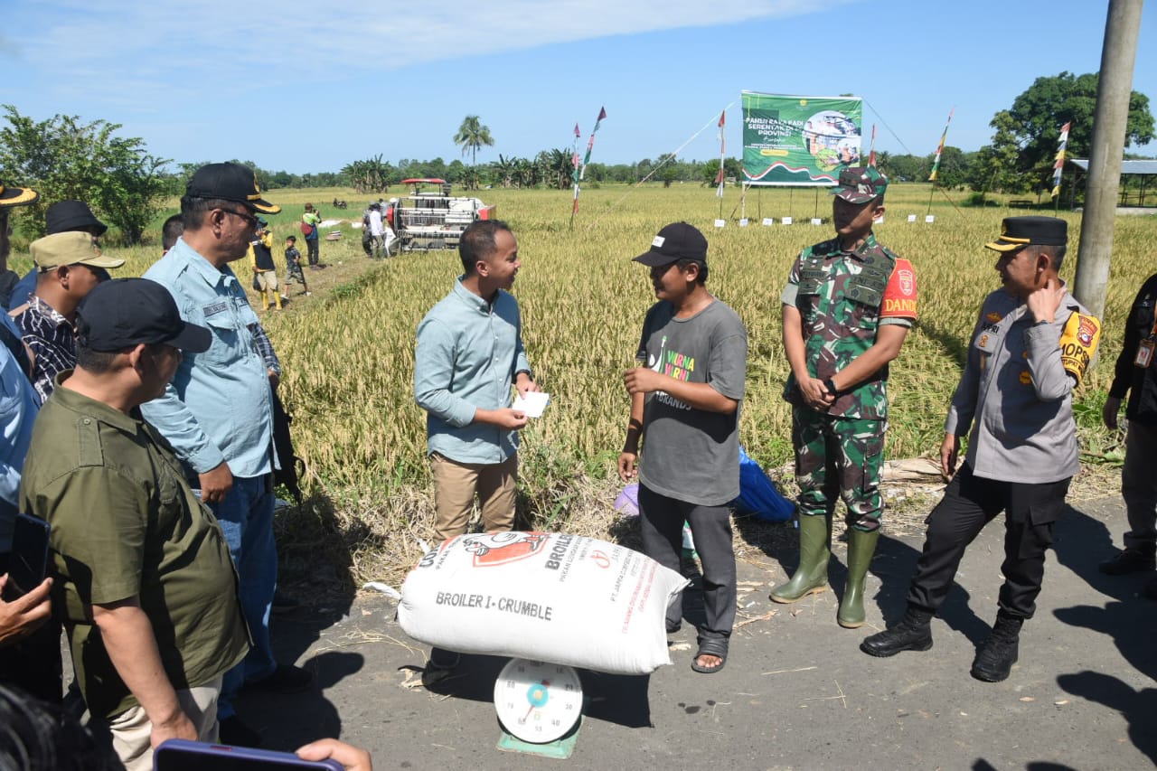 BELI GABAH: Bulog Barabai serap gabah petani usai panen raya belum lama tadi. (Foto:Perum Bulog Barabai untuk Radar Banjarmasin)
