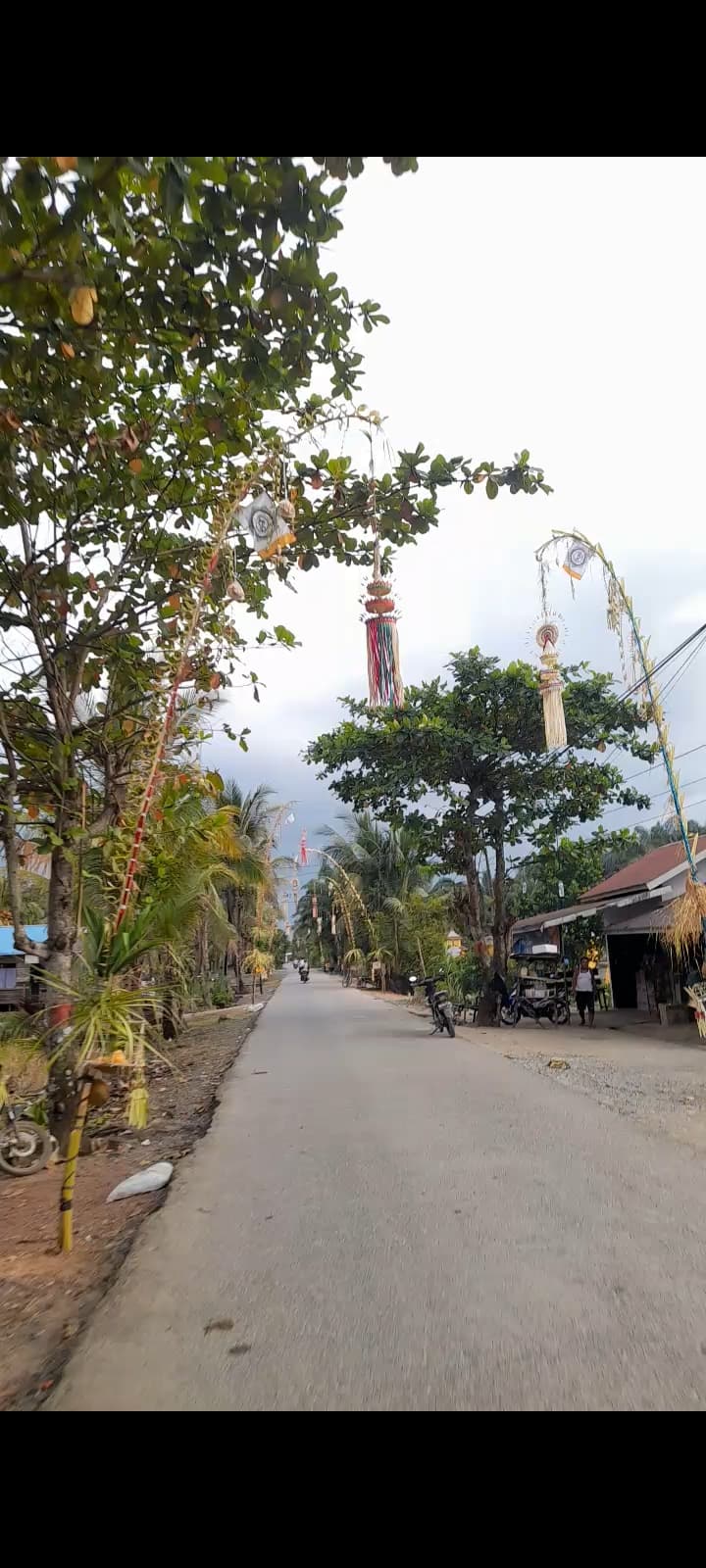 ESTETIKA:Sepanjang jalan utama desa penjor terpasang di depan pekarang masing-masing rumah warga dalam merayakan hari raya galungan.//kades untuk Radar banjarmasin