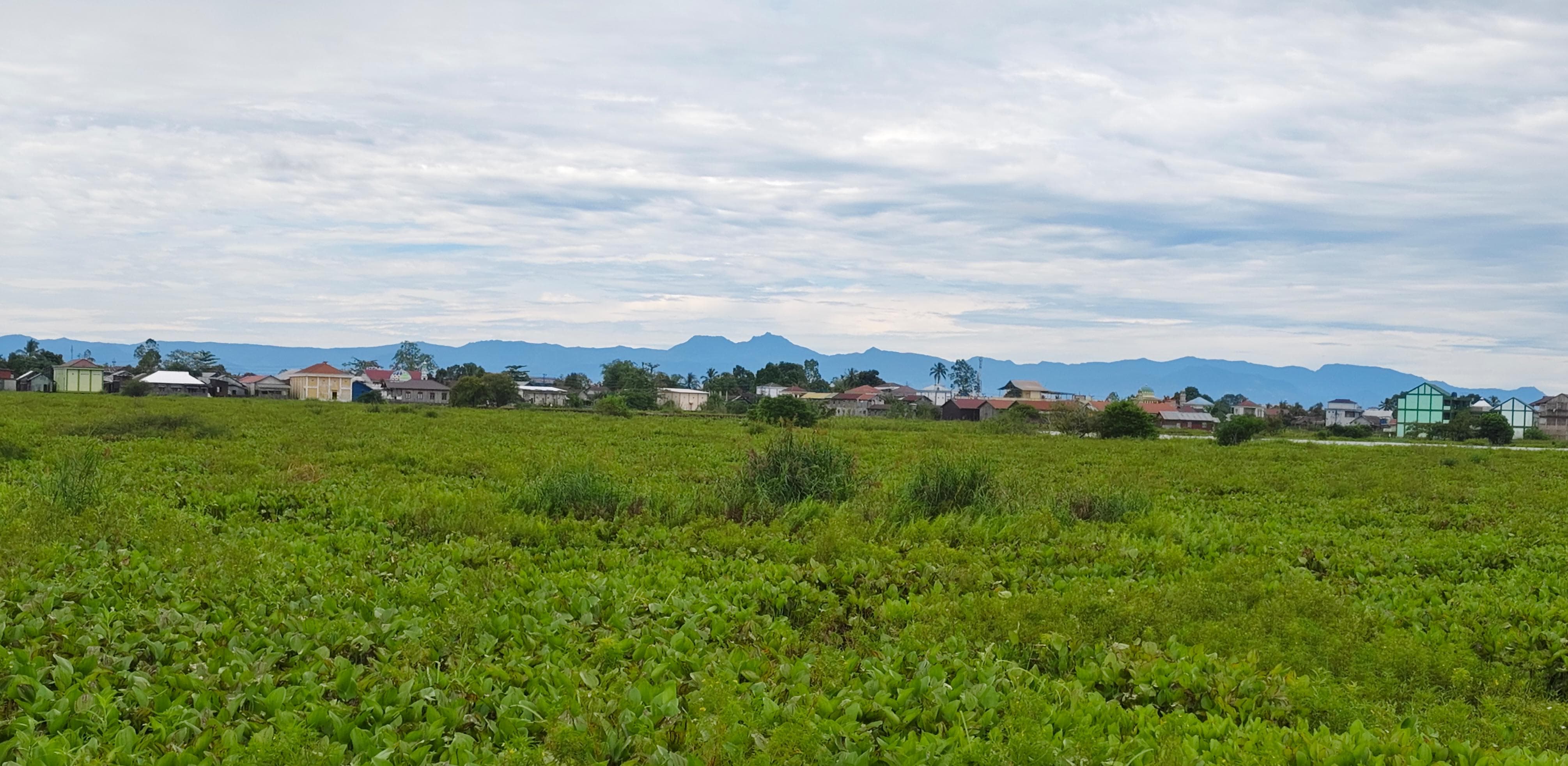 GUNUNG: Gugusan pegunungan Meratus terlihat jelas dari By-Pass Bayur-Panangkalaan, Kabupaten Hulu Sungai Utara. (Foto: M.Akbar)