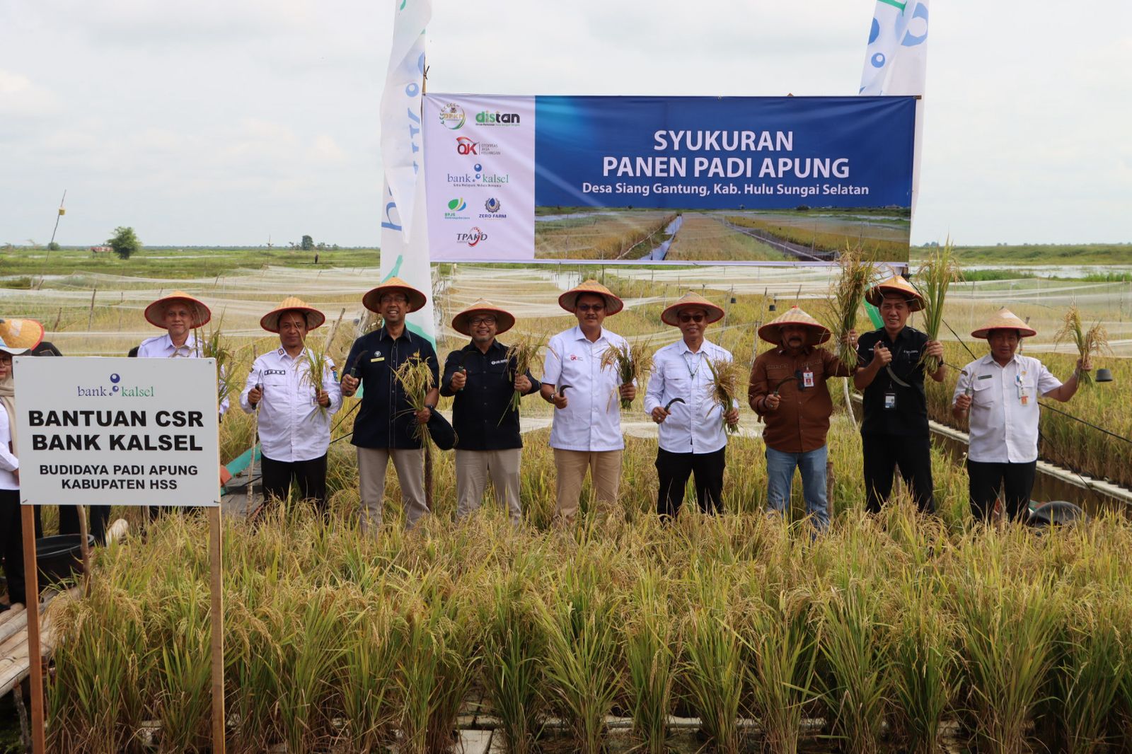 PANEN:Kegiatan panen Padi Apung di Kabupaten Hulu Sungai Selatan (HSS).