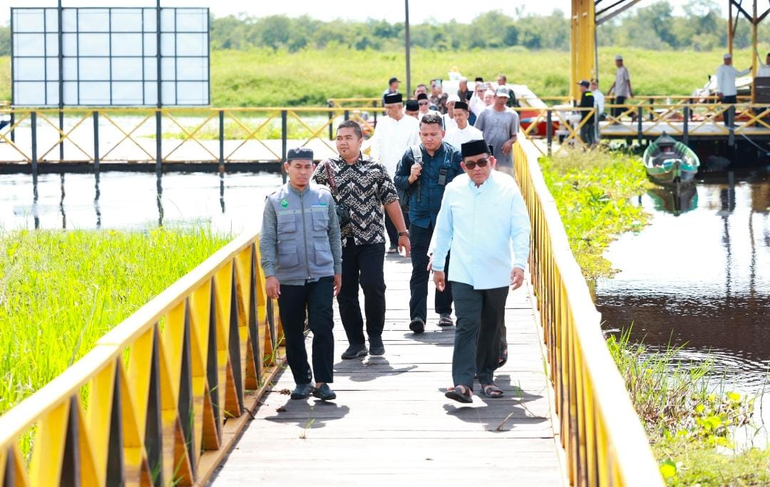 MELIHAT: Bupati HSU H Sahrujani (kanan) berjalan pada titian kayu menuju wisata kerbau rawa yang baru di Desa Bararawa, Kecamatan Paminggir.
