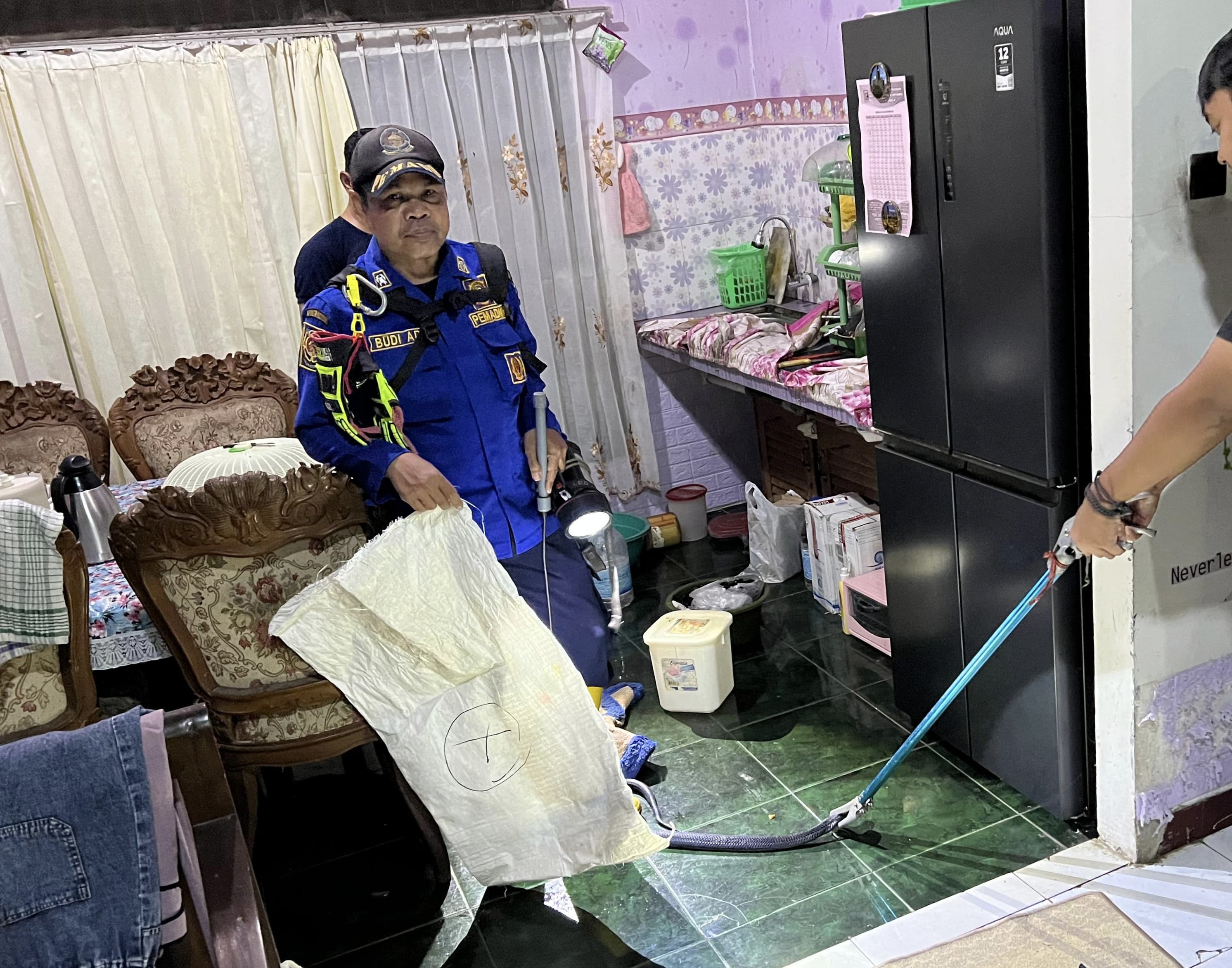 DIAMANKAN: Petugas Damkar Banjarbaru saat mengevakuasi ular kobra dari bawah wastafel dapur rumah warga di Jl Dahlina Raya Permai, Kelurahan Sungai Besar, Minggu (18/5) malam. (Upt Damkar Banjarbaru)
