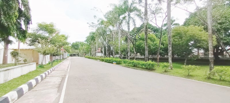 trek jogging