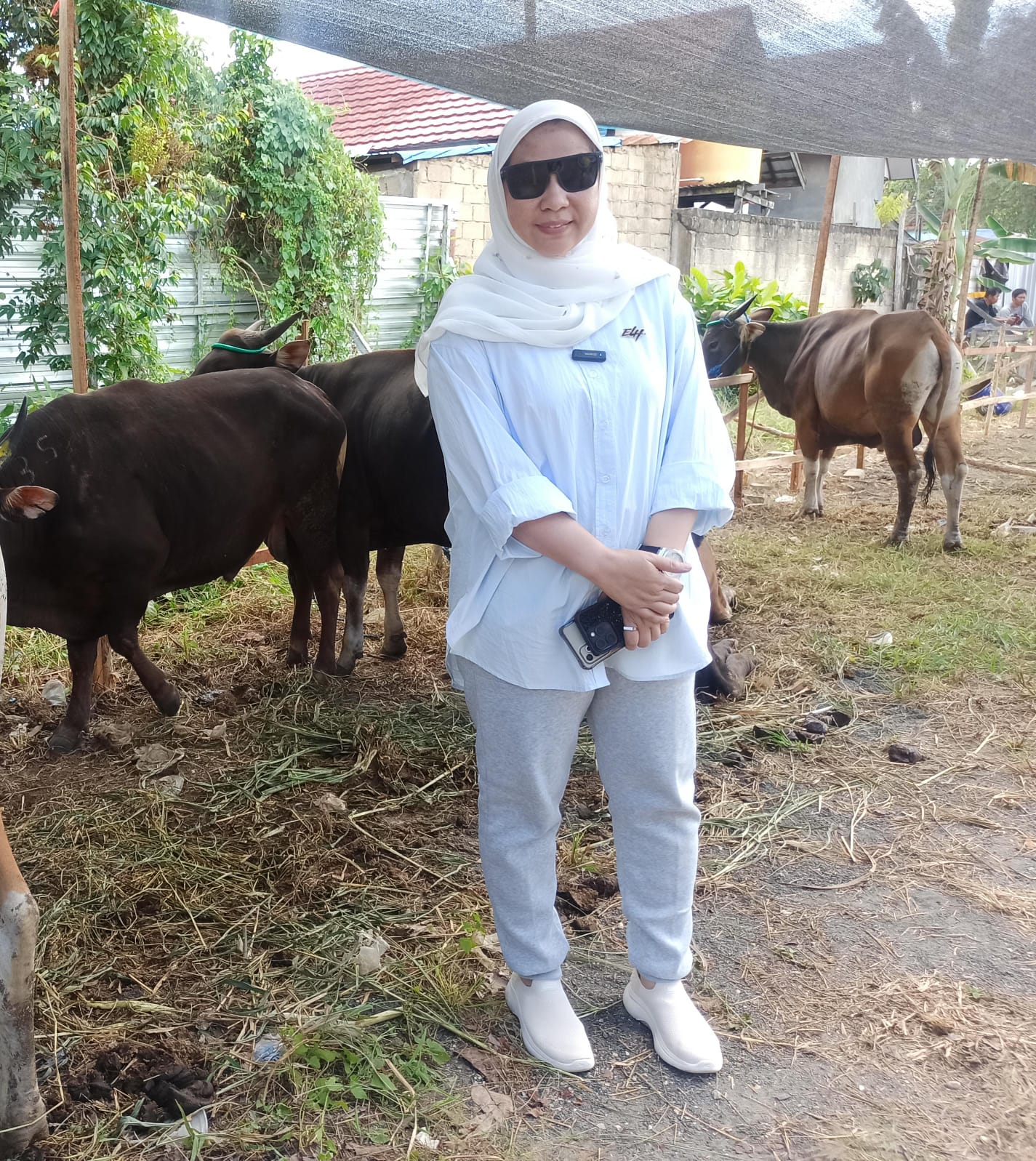 IDUL ADHA:Pengawas Yayasan Abdul Aziz Halaby, Hj Erna Lisa Halaby turun langsung memantau pendistribusian hewan kurban.