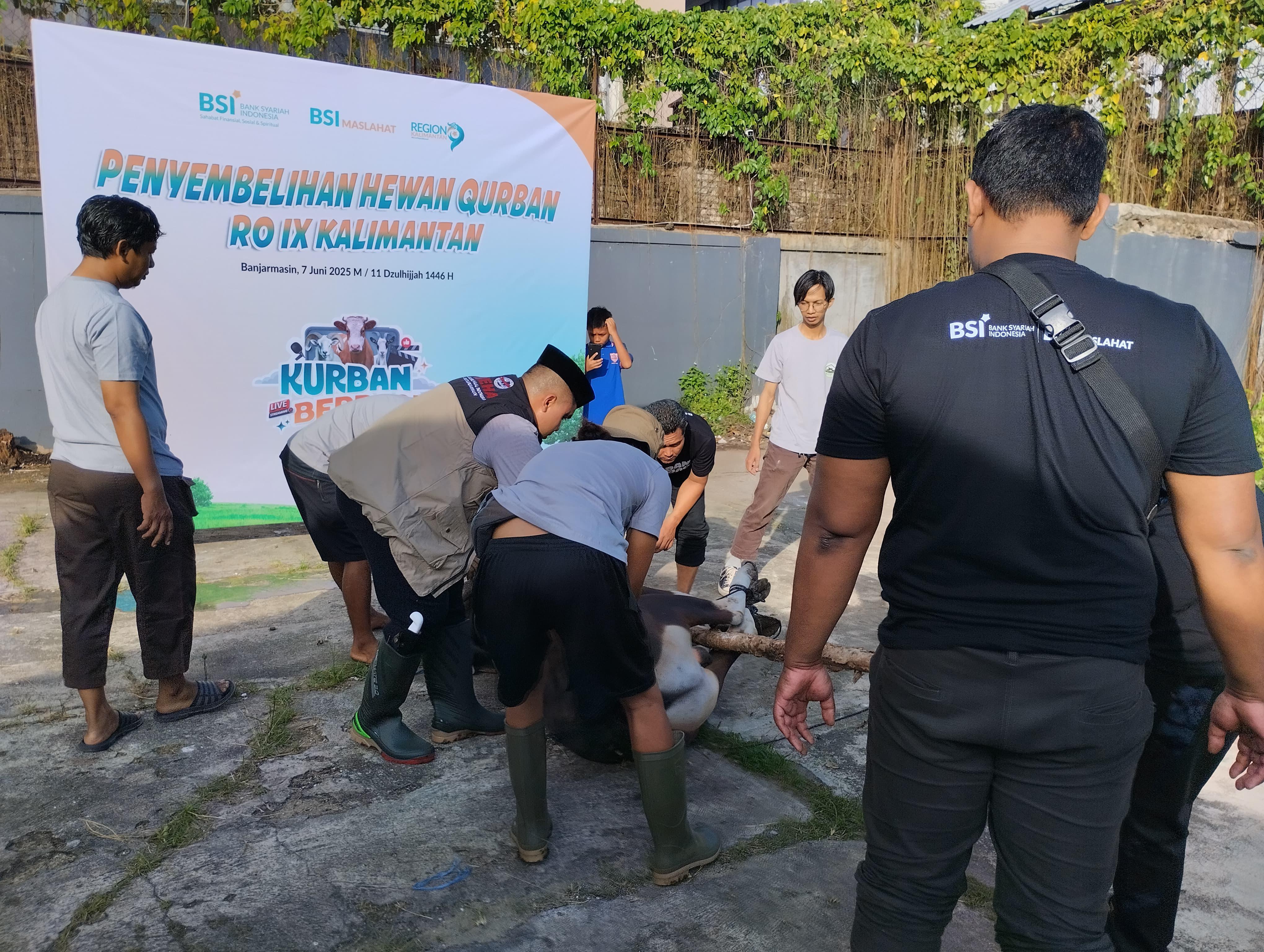 JAGAL SAPI:PT Bank Syariah Indonesia Tbk (BSI) menyalurkan daging kurban di Anjir, Martapura, dan Kota Banjarmasin.(Foto:BSI untuk Radar Banjarmasin)