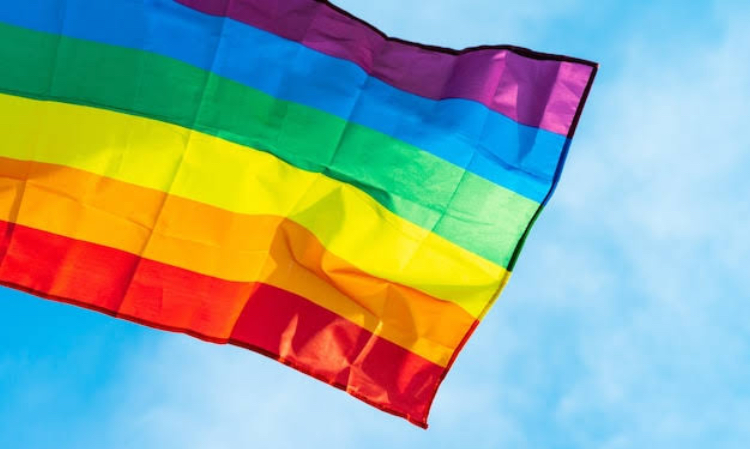 Ilustrasi bendera LGBTQ. (Freepik)