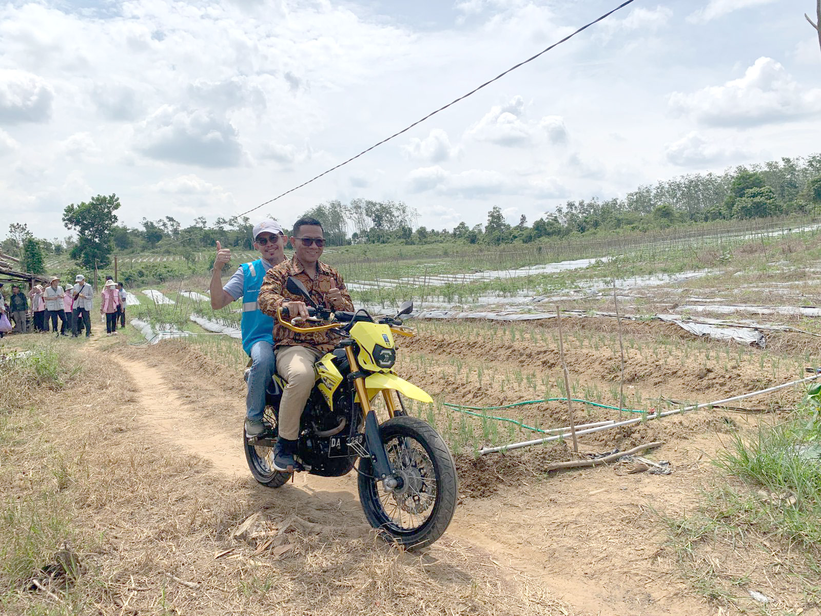 MENINJAU: Sunandar bersama Pembakal Desa Takuti dan rombongan PLN UPDL Banjarbaru meninjau langsung lahan cabai seluas 9 hektare yang dikelola petani milenial di Desa Takuti.
