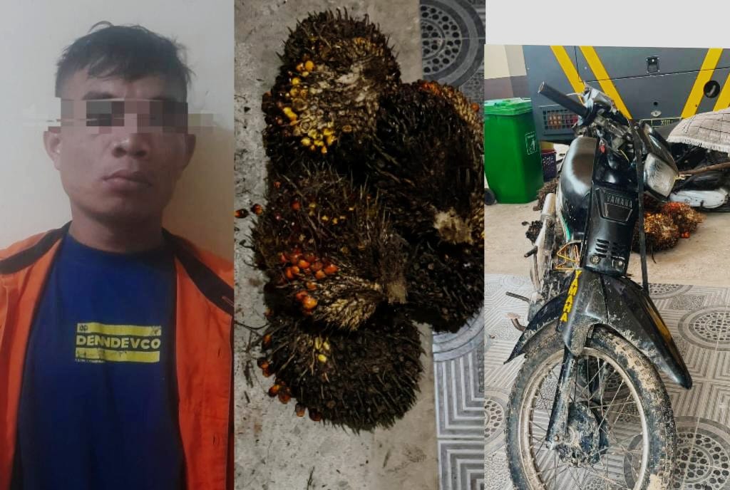 KASUS: Pelaku berinisial AAT (23), warga Desa Gambah, Kecamatan Batang Alai Utara, Kabupaten Hulu Sungai Tengah, ditangkap anggota Satreskrim Polres HSU. (Foto: M.Akbar/Radar Banjarmasin)