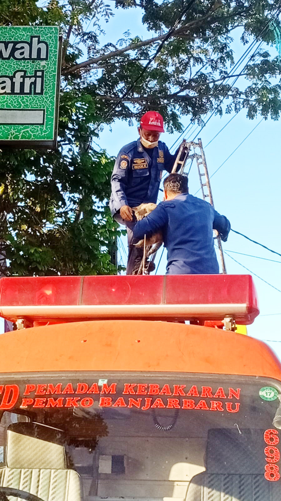 PENYELAMATAN: Petugas Damkar Banjarbaru saat melakukan penyelamatan seekor kucing di tiang plang kompleks, Selasa (1/7) pagi. (Foto: Damkar Banjarbaru untuk Radar Banjarmasin)