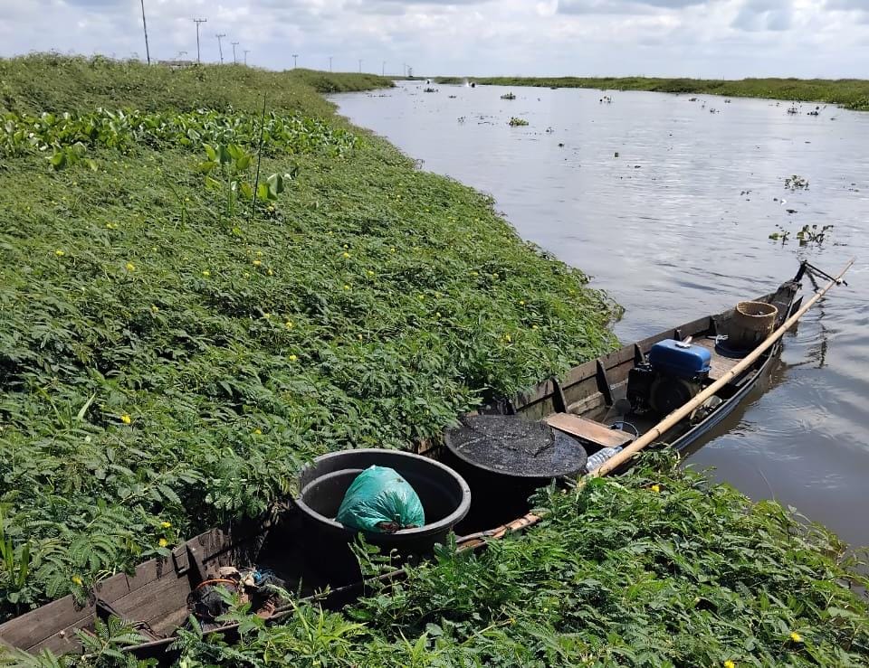 HILANG: Perahu atau jukung Kai Awi (60) tahun ditemukan di rawa Desa Rintisan Kecamatan Danau Panggang. (Foto: Relawan Damkar HSU)