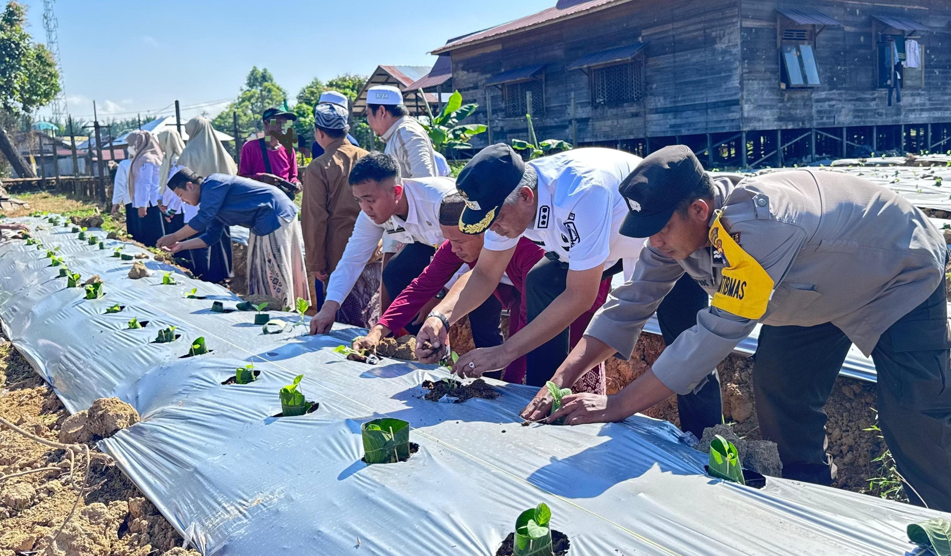 MOMEN: Wabup Kabupaten HSU Hero Setiawan, dan pihak Ponpes Darussalam Muara Tapus, awali tanam perdana program OPOP. (Foto: M.Akbar/Radar Banjarmasin)