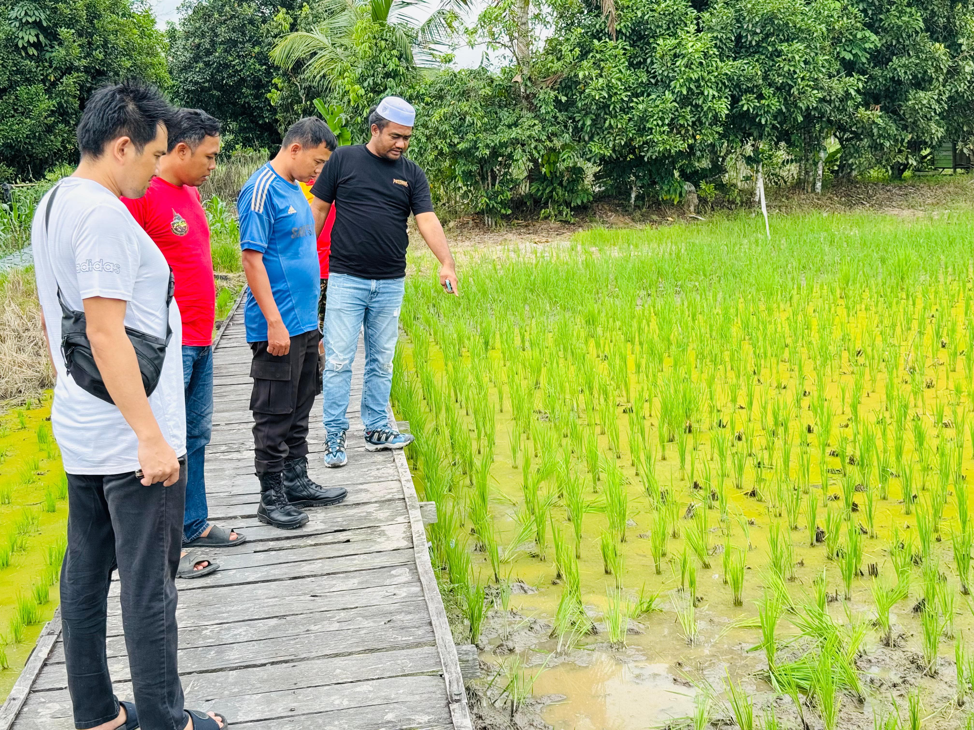 KASUS PENGANIAYAAN : Jajaran Satreskrim Polres Tabalong menunjukkan TKP korban wanita dianiaya pria bertopeng keponakannya sendiri.(Foto : Polres Tabalong untuk Radar Banjarmasin)