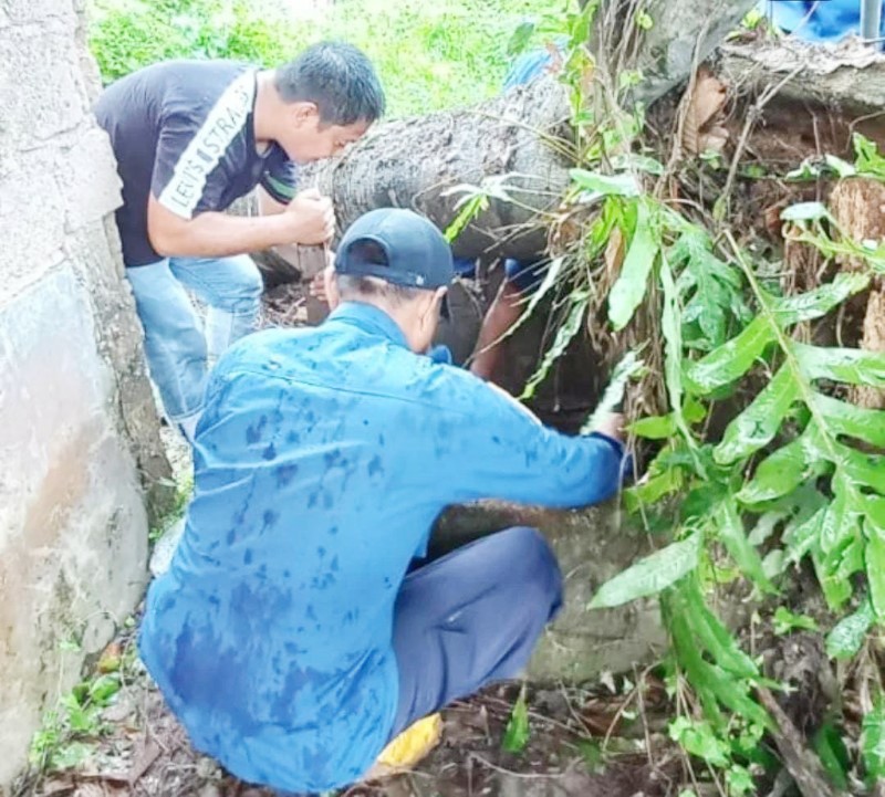 EVAKUASI: Damkar Banjarbaru saat mengevakuasi kucing yang tercebur ke sumur.