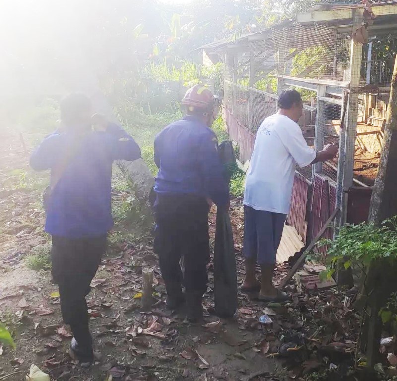 MENANGKAP: Petugas UPT Damkar Banjarbaru saat menangkap ular di dalam kandang ayam. (Damkar Banjarbaru untuk Radar Banjarmasin)