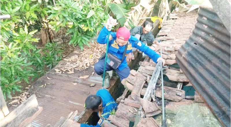 DRAMATIS: Petugas Damkar Banjarbaru berhasil mengevakuasi ular sepanjang 2,3 meter dari celah sempit di antara dinding rumah warga.