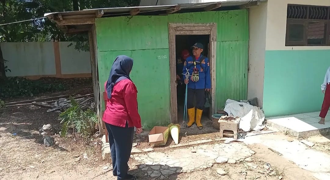 Damkar Banjarbaru saat melakukan evakuasi ular di dalam gudang sekolah (damkar Untuk Radar Banjarmasin)
