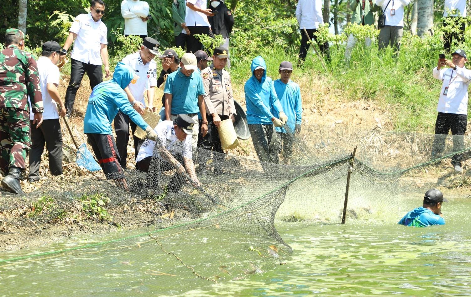PANEN IKAN: Bupati Kabupaten HSU H Sahrujani, dan  Forkopimda HSU memanen ikan budidaya di Desa Garunggang Kecamatan Banjang.