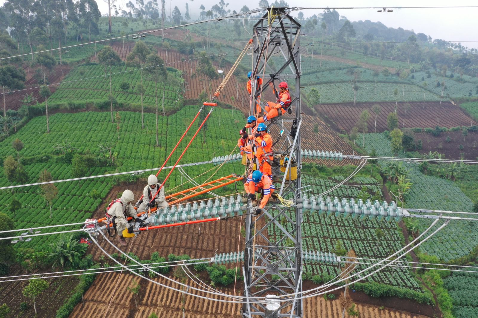 JARINGAN LISTRIK: Petugas PLN melakukan pemeliharaan jaringan kelistrikan sebagai komitmen nyata menjaga keandalan pasokan listrik.