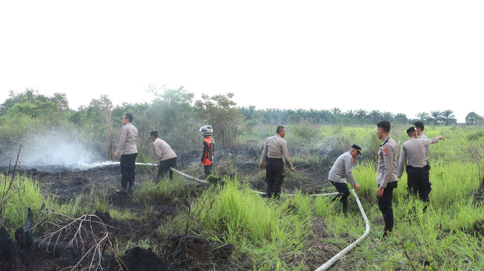 SIGAP: Kapolres HSU AKBP Agus Nuryanto, terjun langsung ke lokasi kebakaran lahan di Desa Beringin, Kecamatan Banjang, bersama relawan pemadam.
