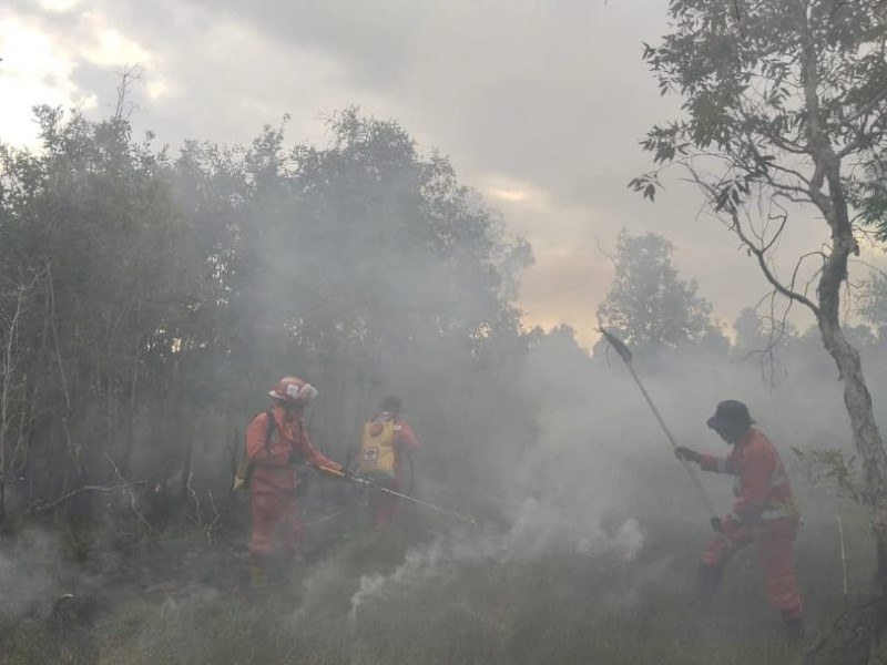 Tim Piket Regu III melaksanakan operasi pemadaman darat yang berlokasi Jl Guntung Harapan (Belakang Kampus UIN Banjarbaru) Kelurahan Guntung Manggis, Kecamatan Landasan Ulin, Banjarbaru, Kalsel