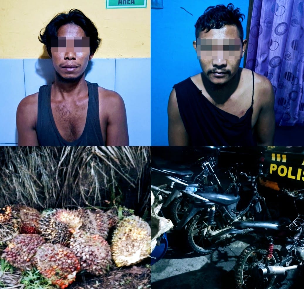 TERSANGKA: Tersangka pencurian TBS Kelapa Sawit di Area Perkebunan PT PDL masing-masing MR alias Murat (28) dan SR alis Muin (32) diamankan Satreskrim Polres HSU.