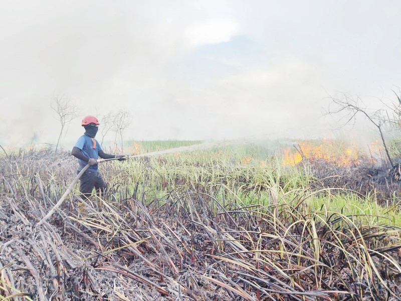 KARHUTLA: Petugas memadamkan Karhutla di Kecamatan Daha Barat.