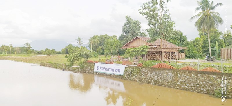 D&rsquo;Pahumaan