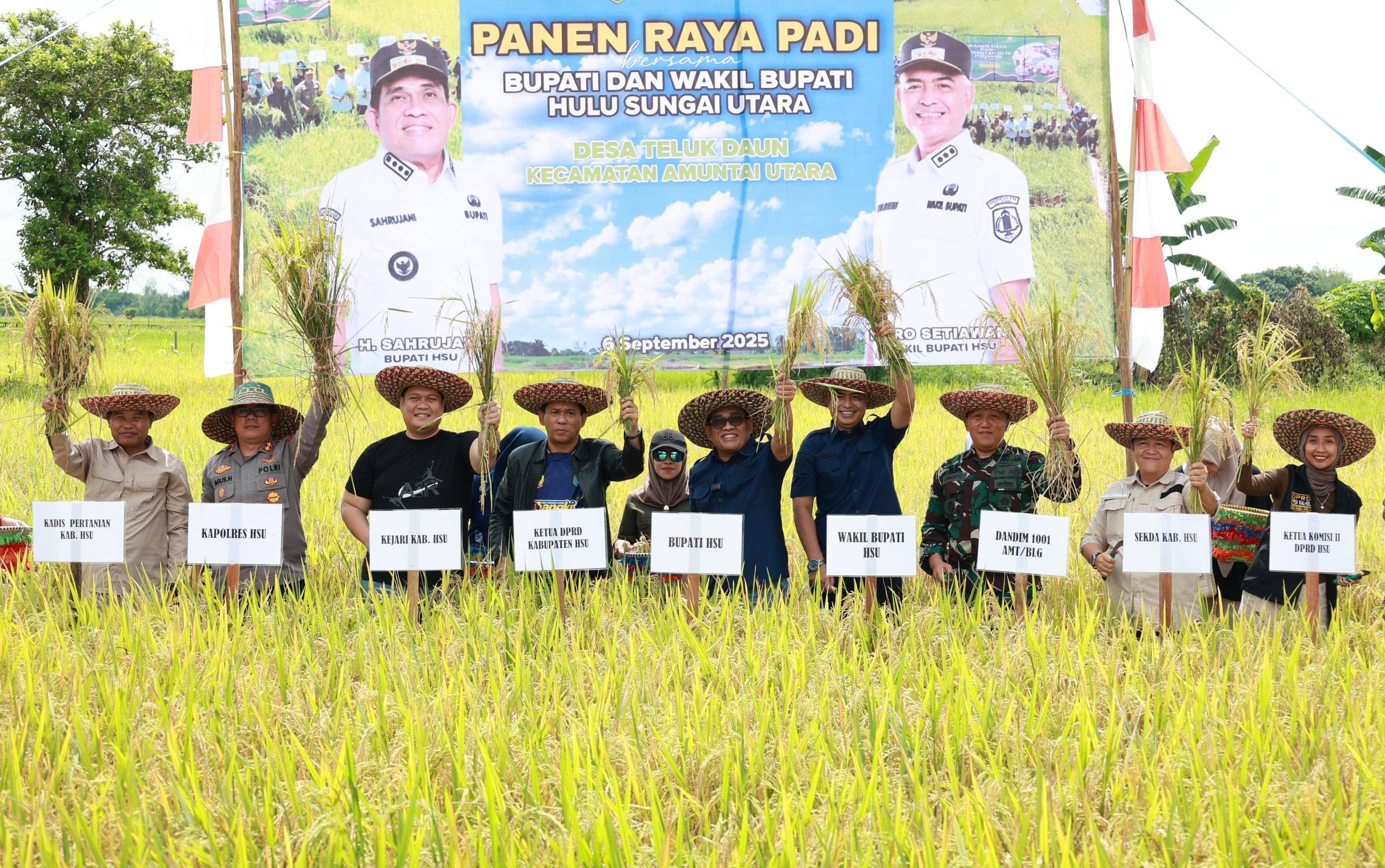 MOMEN: Bupati HSU H Sahrujani hadir dalam kegiatan panen raya di Desa Teluk Daun, Kecamatan Amuntai Utara, Sabtu (6/9/2025). (Foto: M.Akbar/Radar Banjarmasin)