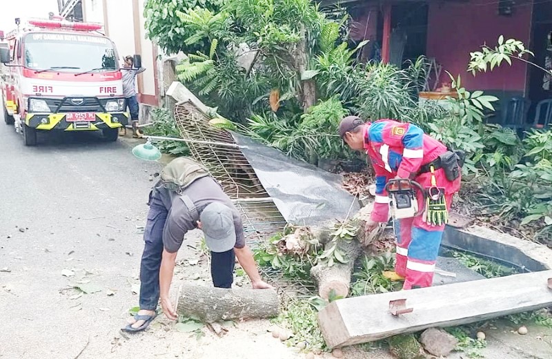 EVAKUASI: Petugas UPT Damkar Banjarbaru saat mengevakuasi pohon tumbang yang merobohkan pagar rumah milik warga di Loktabat Utara, Jumat (12/9).