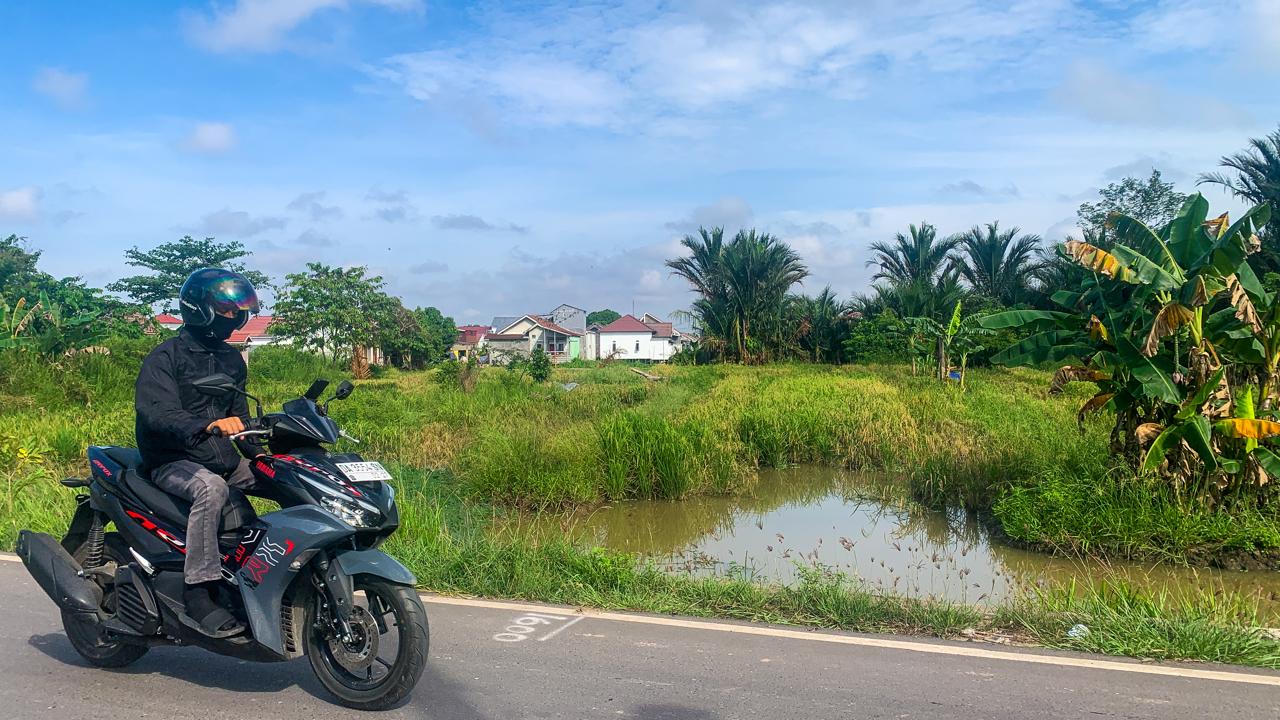 Hamparan sawah di Sungai Lulut masih jadi tumpuan petani Banjarmasin, meski kerap terendam pasang.(Foto: Endang/Radar Banjarmasin)