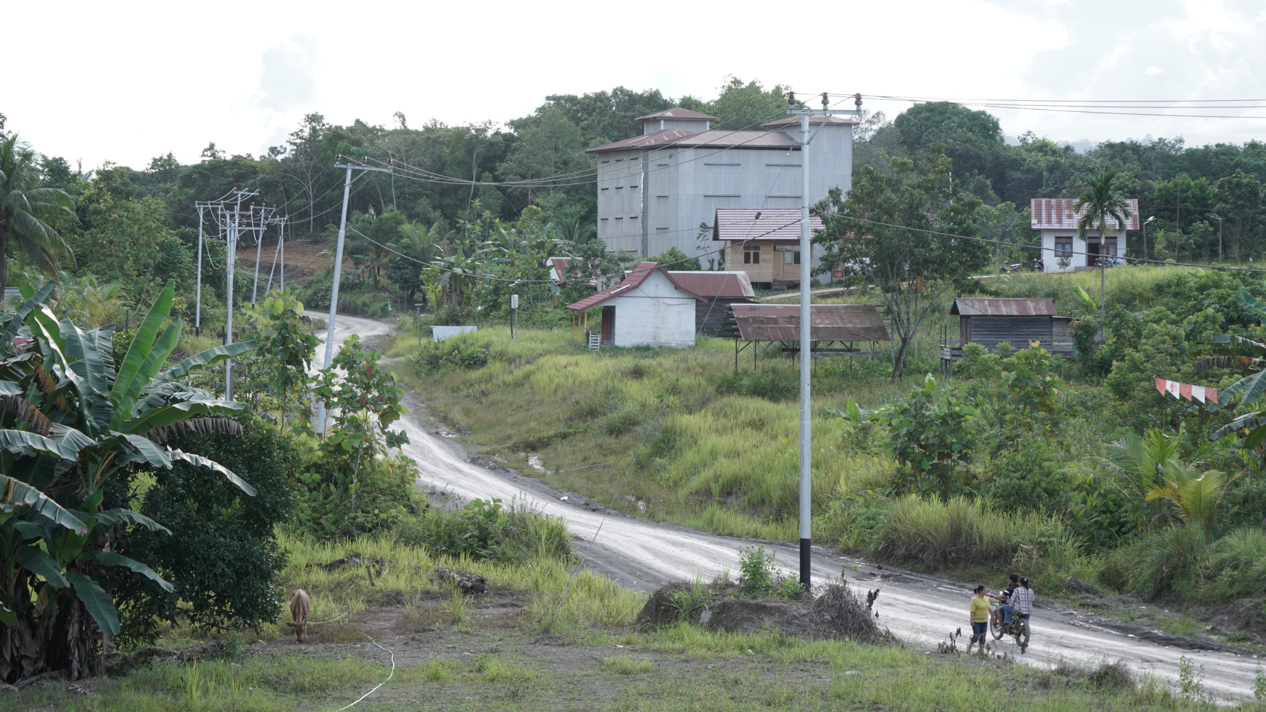 INFRASTRUKTUR: Jaringan listrik PLN telah berdiri kokoh di pinggir jalan desa Hingan Tokung, mengalirkan listrik 24 jam.
