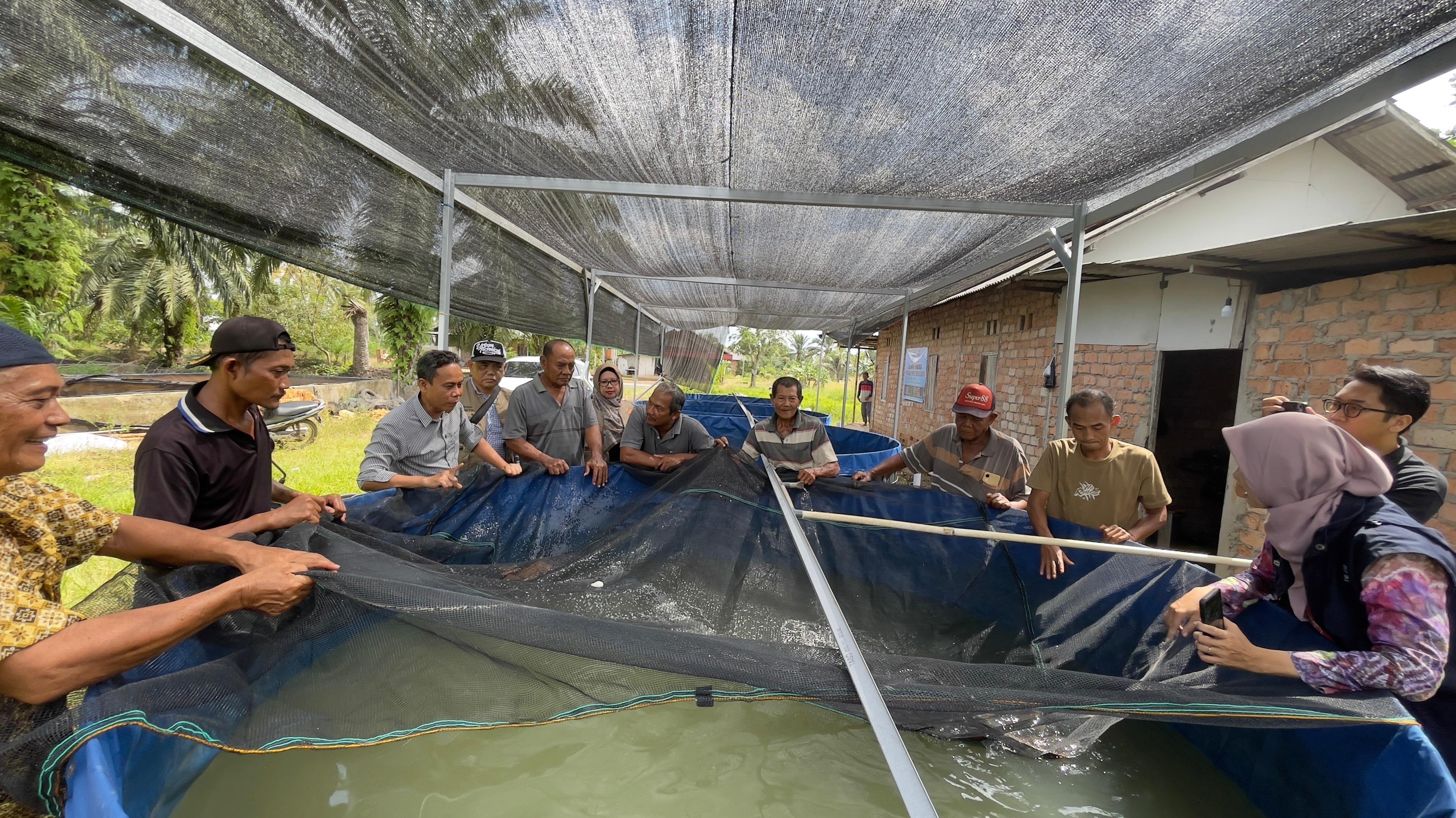 LANGSUNG PRAKTIK: Anggota Pokdakan Panle Bersaudara dibimbing tim PKM ULM melakukan proses pembenihan ikan.
