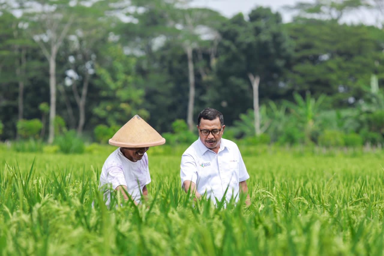 PERKUAT:Pupuk Kaltim perkuat dukungan pada pertanian berkelanjutan lewat agrosolution.