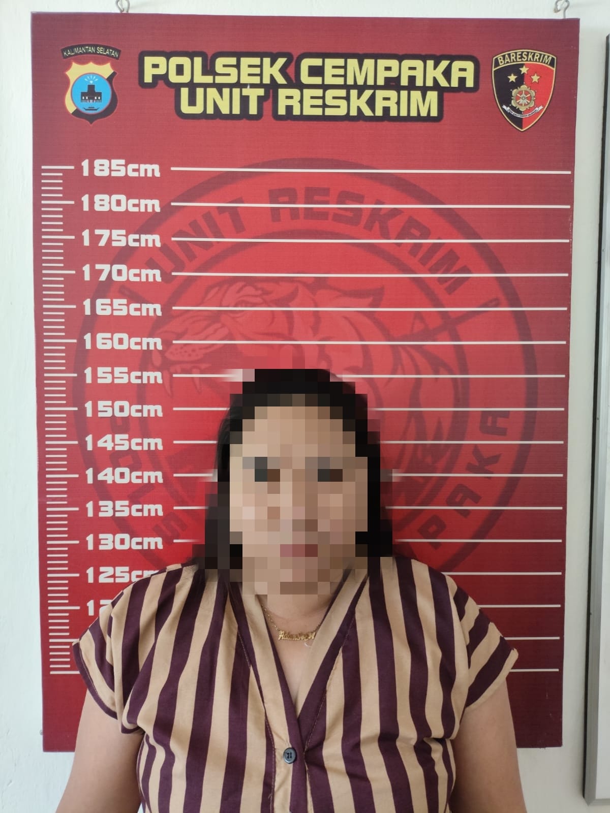 DIAMANKAN: Terduga pelaku pencurian tas yang berhasil diamankan Polsek Cempaka.