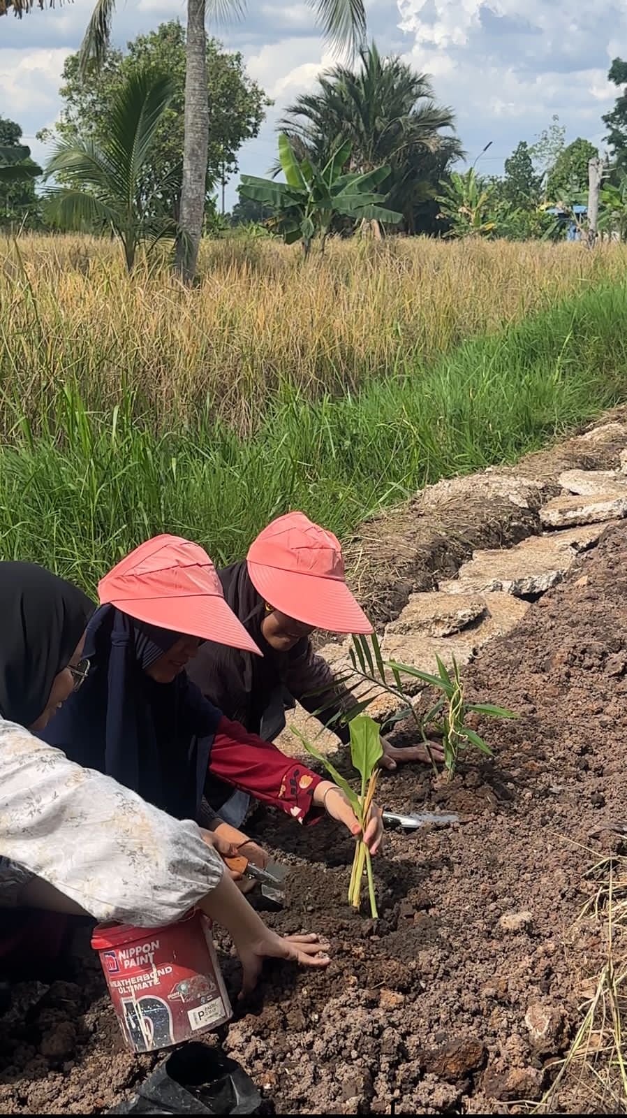 PENANAMAN: Kegiatan penanaman TOGA di Ponpes Darul Falah oleh Tim UNISKA.