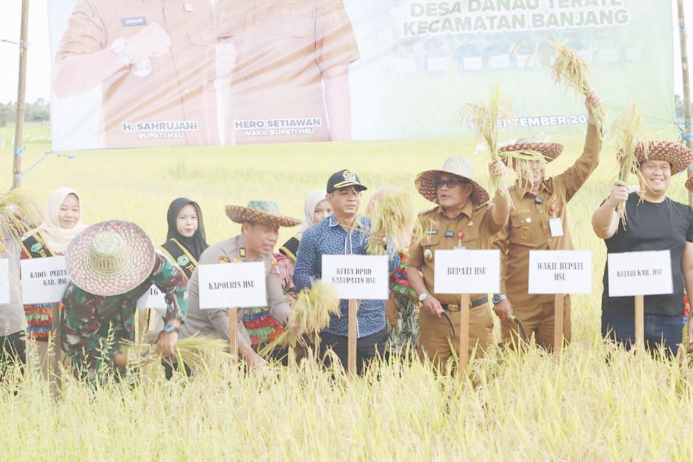 HADIR: Ketua DPRD HSU H Fadilah hadir dalam kegiatan panen padi dan jagung di wilayah Kabupaten HSU. (Foto: Istimewa)