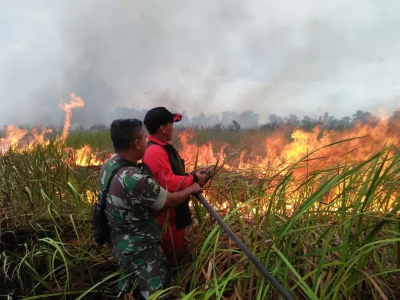 KARHUTLA: Kebakaran hutan dan lahan saat masih musim kemarau beberapa waktu lalu. Kini, status Siaga Darurat Karhutla Kalsel resmi dihentikan pada 30 September.