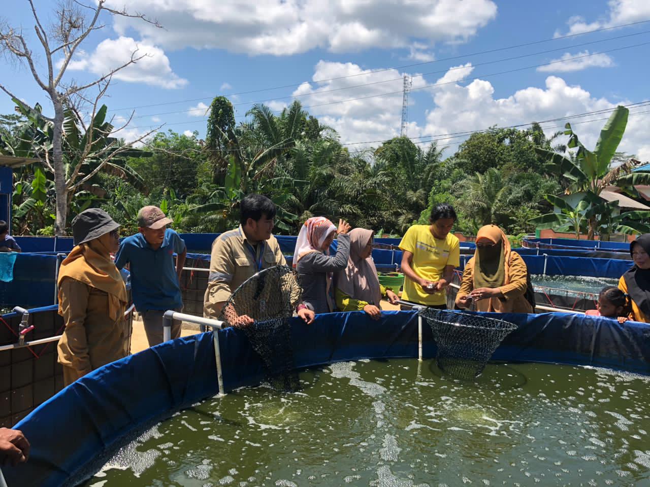 PENGECEKAN: Dinas Perikanan Kotabaru melakukan pengecekan budidaya ikan yang ditekuni oleh kelompok masyarakat.