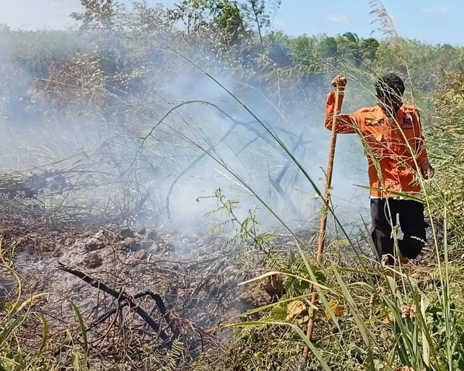 PEMADAMAN: Petugas berusaha memadamkan api yang membakar lahan di Desa Bangkalaan Dayak.