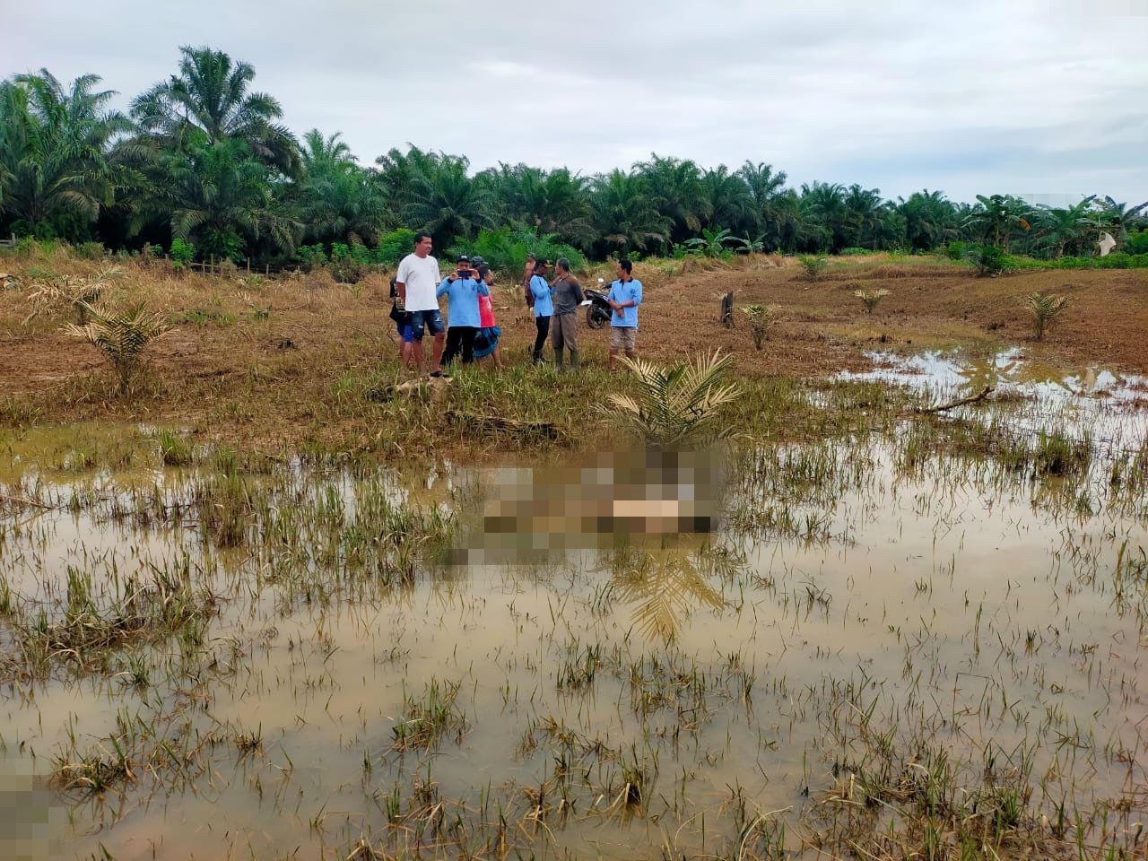PENEMUAN: Warga menemukan jasad pria yang ditemukan di kebun sawit Desa Sukadamai, Kecamatan Mantewe, Tanah Bumbu. (Foto: PKJR Tanah Bumbu untuk Radar Banjarmasin)