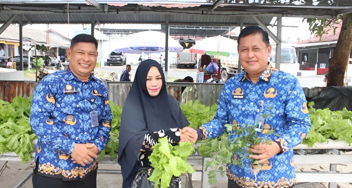 PANEN: Sayur selada dari kebun hidroponik warga binaan Lapas Kelas II A Banjarmasin.