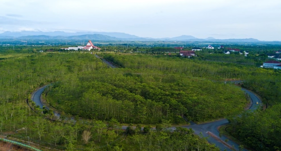 RINDANG: Taman Hutan Hujan Tropis Indonesia di kawasan perkantoran Pemprov Kalsel, Banjarbaru, menjadi satu-satunya hutan hujan tropis buatan di Indonesia yang kini masuk dalam situs Geopark Meratus.