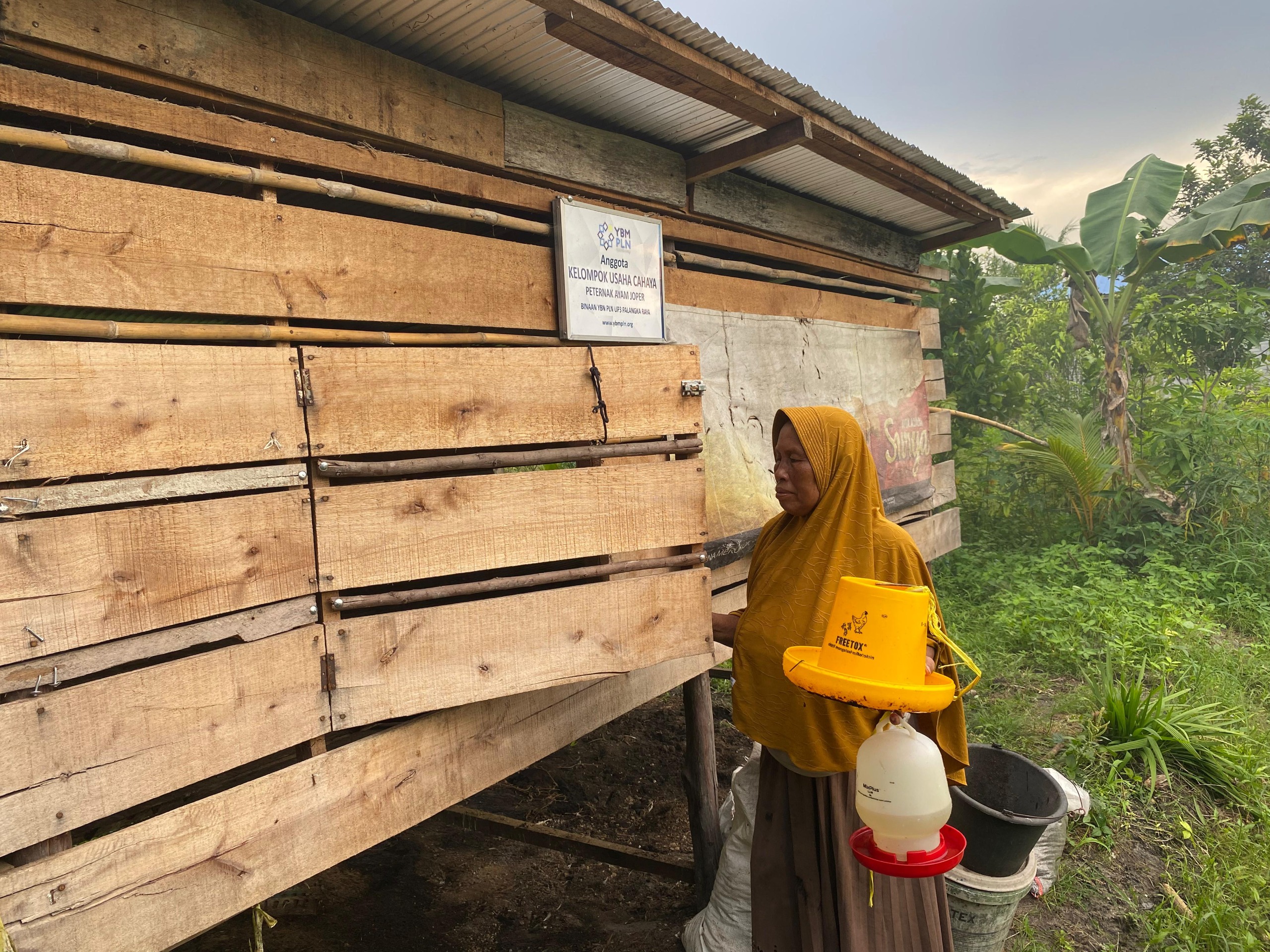 Tingkatkan Perekonomian Masyarakat, YBM PLN Berikan Bantuan Usaha untuk Kelompok Peternakan Ayam