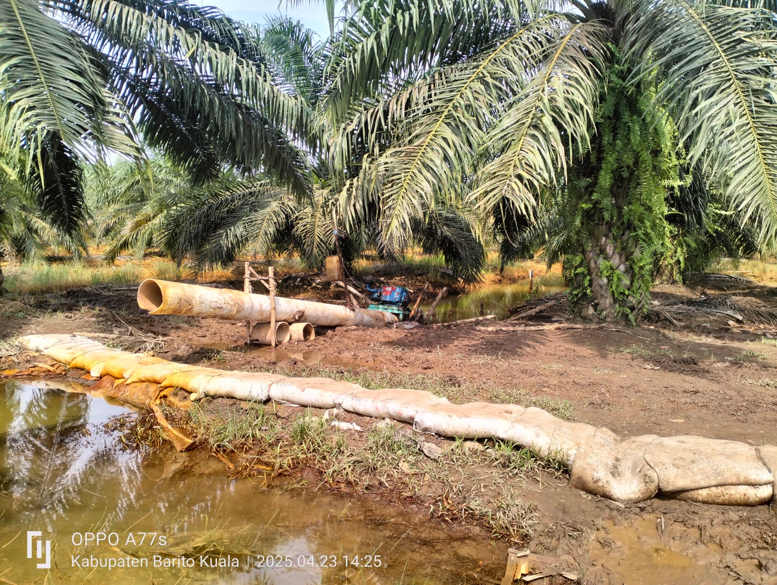 LIMBAH: Pompa berukuran besar di sejumlah titik area perkebunan sawit PT BPP, yang mengalir ke sungai Anjir Talaran.