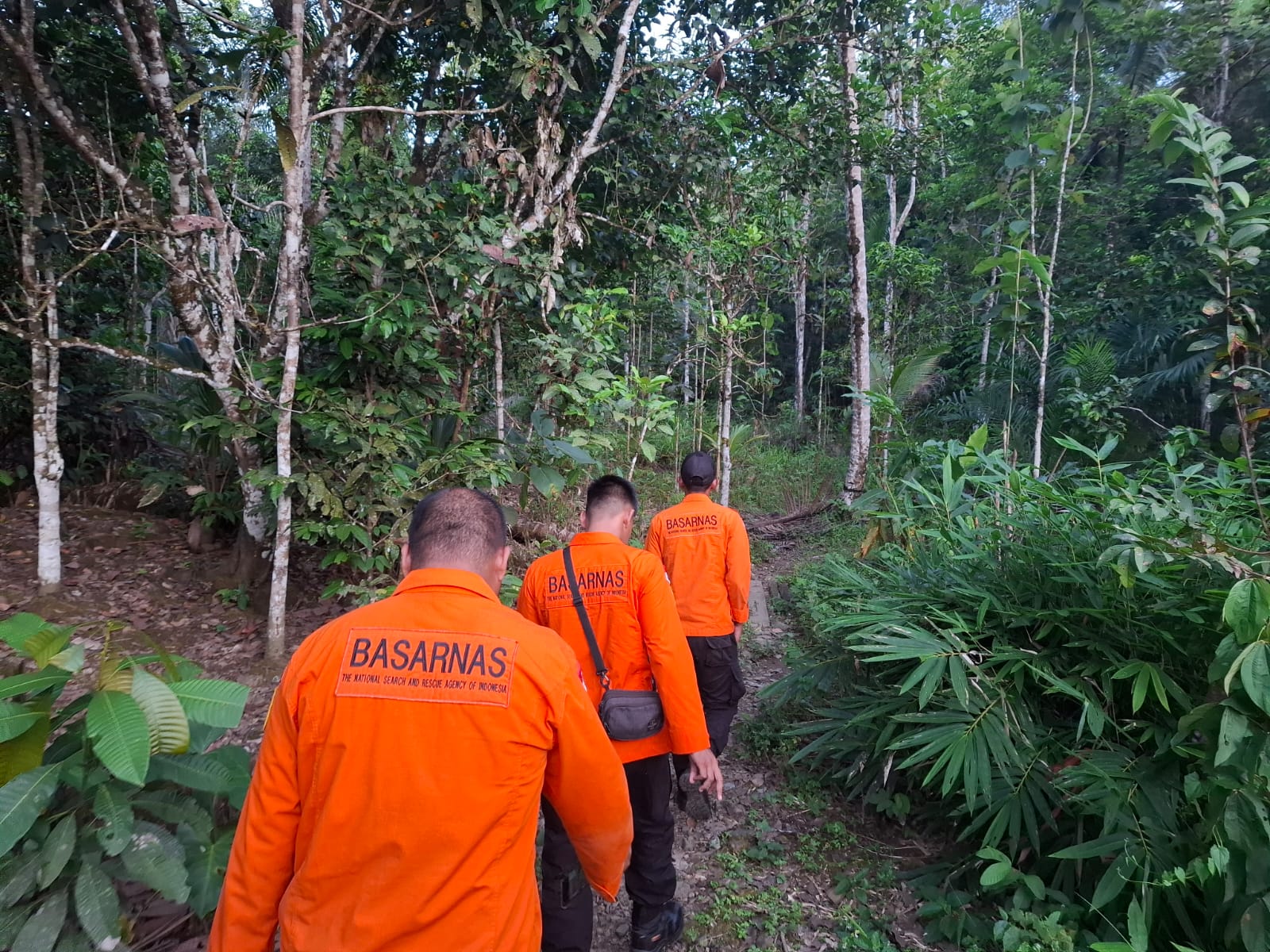 PENYISIRAN: Tim SAR gabungan melakukan penyisiran di Desa Malinau, Loksado, Kabupaten HSS mencari balita yang diduga hilang.