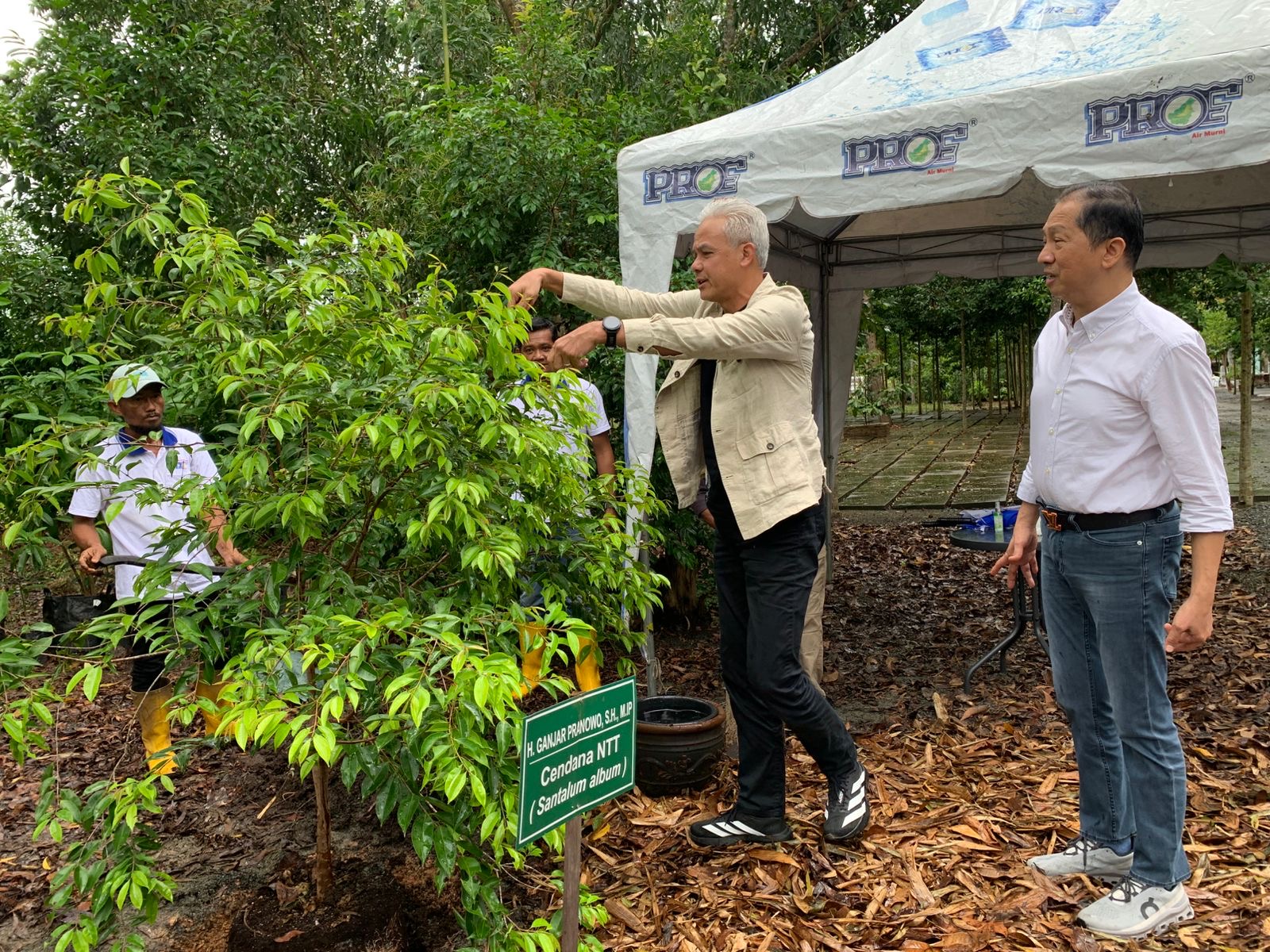 SIRAM: Ganjar Pranowo menyiram pohon Cendana endemik NTT didampingi Chendrawan Sugianto usai menanam di kawasan Arboretum Ayu Tirta, Banjar, Rabu (12/11/2025).